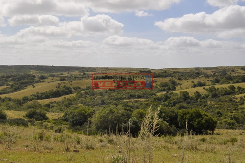 Imagen 8 de 30 de Venta Campo Ubicado En Garzón