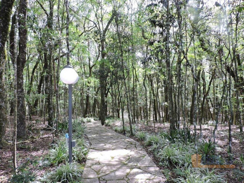 Imagem 12 de 12 de Chácara À Venda, 20000 M² Por R$ 3.600.000,00 - Linha 40 - Caxias Do Sul/rs - Ch0004