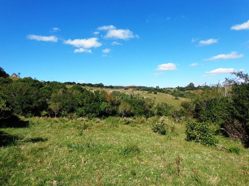 25 Has Cerca De P.eden, Magnificas Vistas A Las Sierras- Ref: 26462