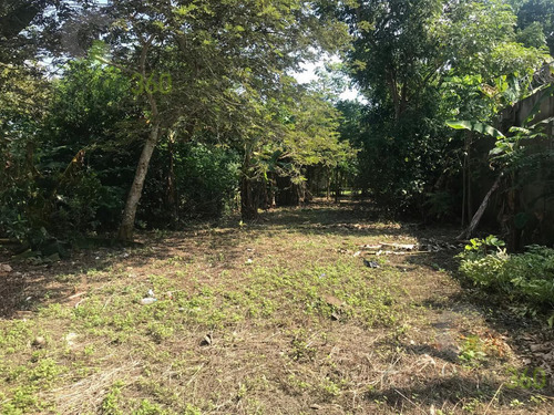 Imagen 7 de 12 de Terreno - El Torito
