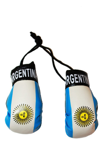 Argentina País Bandera Mini Guantes De Boxeo.. New