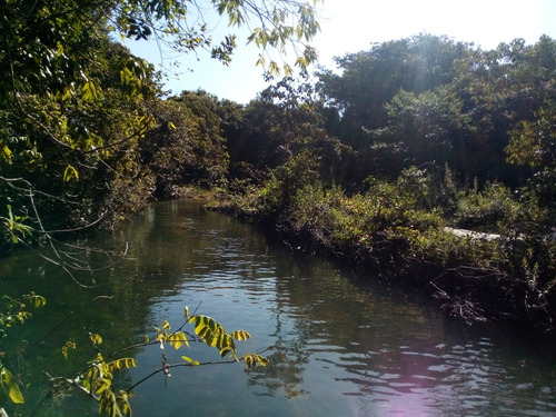 Chácara Auto-sustentável Com Vista Para A Serra Dos Pireneus