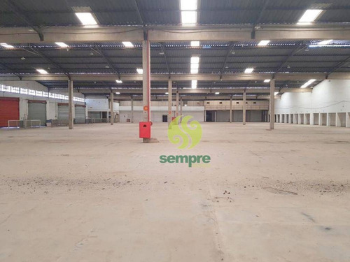 Imagem 4 de 20 de Galpão Logístico 7.000 M² Com Docas Próximo Ao Ceasa - Contagem / Mg - Ga1259