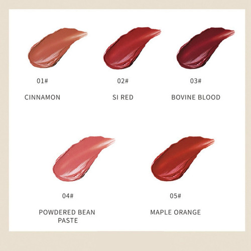 Lápiz Labial Set 5 Color De Efecto Duradero Textura Mate