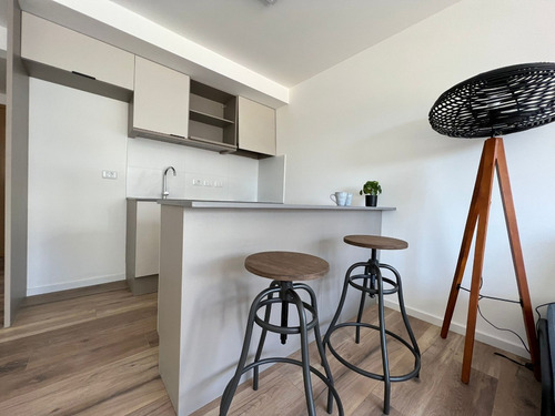 Imagen 18 de 23 de Venta Apartamento Penthouse Monoambiente Con Parrillero