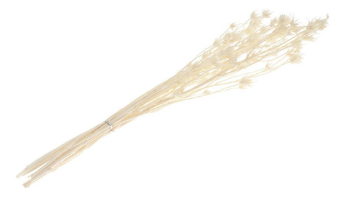 Ramo De Flores De Anisa De Estrellas Secas Naturales Centros