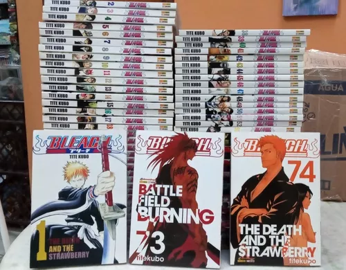 Bleach - Coleção Completa de Mangás em 74 volumes + Pôster (usados)