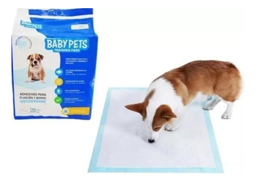 Sabanillas Baby Pets 100unid 60x60