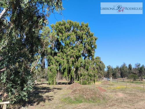 Parcela En Venta En Quintero