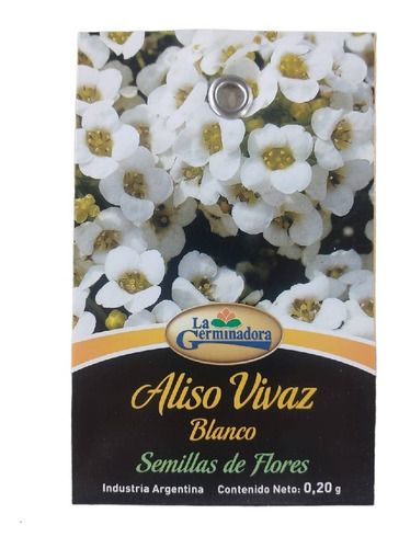 Semillas De Flores Aliso Vivaz /  La Germinadora  