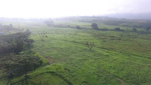 Bejuma Sabaneta Carabobo