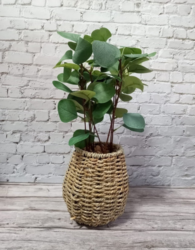 Planta Artificial Con Maceta Escritorio Deco Piedras Pettish