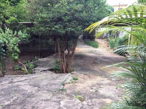 Imagem 7 de 12 de Terreno Para Venda, 0.0 M2, Vila Pereira Cerca - São Paulo - 1518