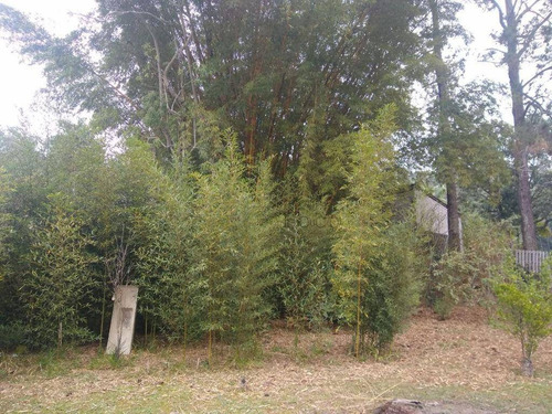 Imagem 14 de 29 de Chácara À Venda, 2081 M² Por R$ 950.000,00 - Vista Alegre - Arujá/sp - Ch0025