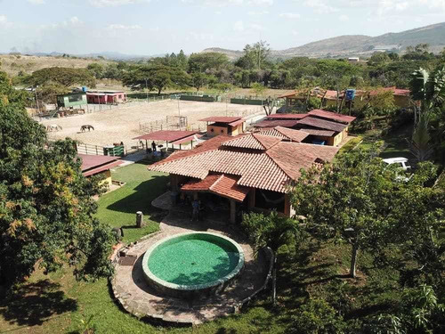 Imagen 12 de 20 de Pieranyela Rodríguez. Finca En Tinaquillo C 1747