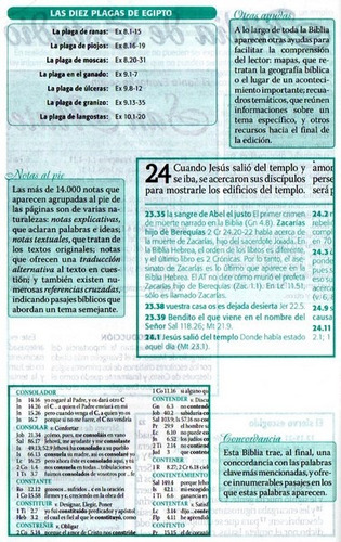 Biblia De Estudio Esquematizada Tapa Dura Valera 1960