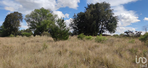 Venta Terreno 0 Ambiente La Mora