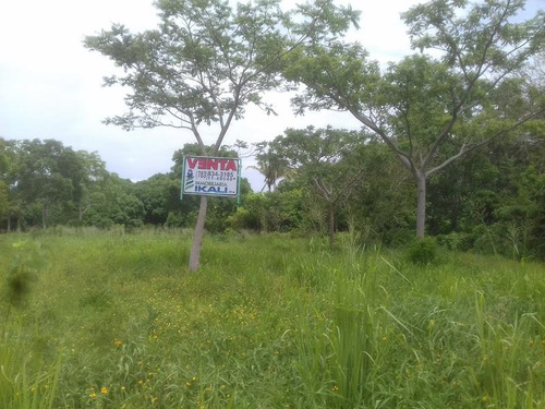 Venta Terreno 5,000 A 30,000 M² Frente Al Río Juana Moza Tuxpan Veracruz