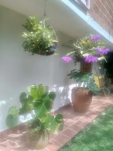 Excelente Oportunidad De Inversion Finca En Barbosa Vereda Tamborcito.
