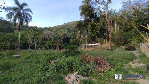 Imagem 3 de 9 de Terreno À Venda, 180 M² Por R$ 100.000,00 - Campo Grande - Rio De Janeiro/rj - Te0200