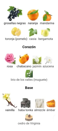 Perfume Extracto Importado Amora Edp Mujer 100 Ml Spray