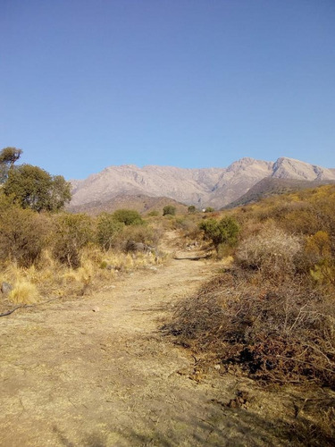 Imagen 10 de 18 de Último Terreno De Altura En Venta De 5.000 M2, Las Rabonas, Traslasierra