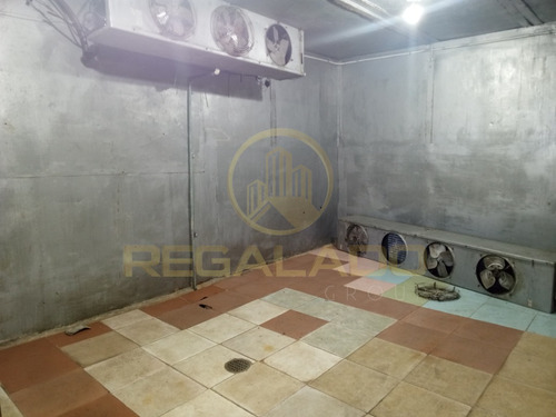 Ga-92 Galpón Calle Girardot Calle Progreso Zona Céntrica Punto Fijo Estado Falcón