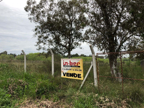 Imagen 3 de 4 de Terreno En Venta En El Pato