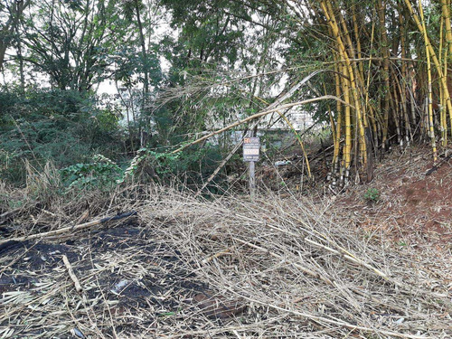 Imagem 2 de 7 de Terreno À Venda, 402 M² Por R$ 250.000,00 - Vila Portes - Foz Do Iguaçu/pr - Te0181