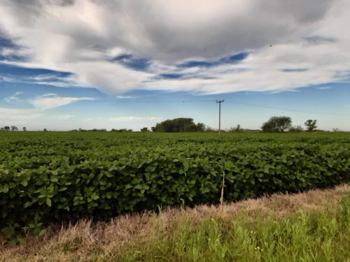 Imagen 18 de 30 de Campo En Córdoba (general Deheza)