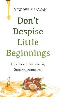 Libro Don't Despise Little Beginnings : Principles For Ma...