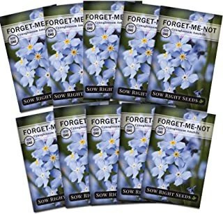 Sow Right Seeds Paquetes De Semillas Forget-me-not Para Plan