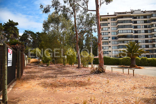 Terreno En Algarrobo Central