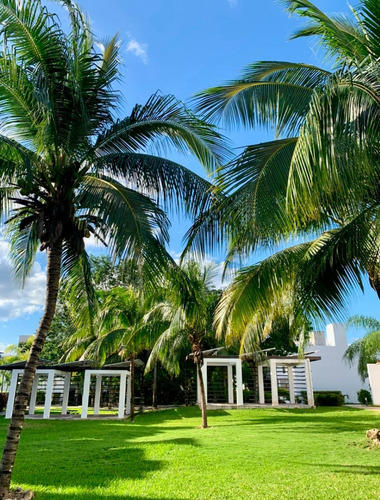 ¡tu Hogar En El Paraíso! Casa En Renta En Residencial Bali, Disfruta De Amplias Terrazas, Abundante Luz Natural Y Atardeceres Espectaculares. Un Espacio Perfecto Para Relajarte!