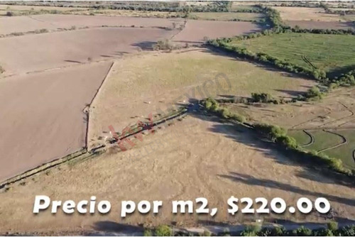 Terreno En Venta En Colonia Severo Moreno Atención Agricultores E Inversionistas ¡gran ...