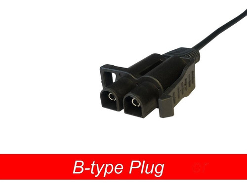 12 Voltios Paseo De Los Cabritos Del Cargador Del Adaptador