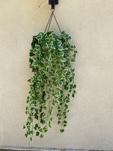 Imagen 5 de 10 de Planta Colgante Artificial Jardin Vertical Hiedra Pack X2