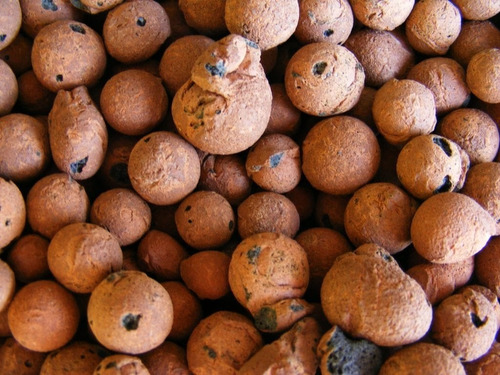 T - Arlita Sustrato Hidroponía (arcilla Expandida) 3l 1 Kg