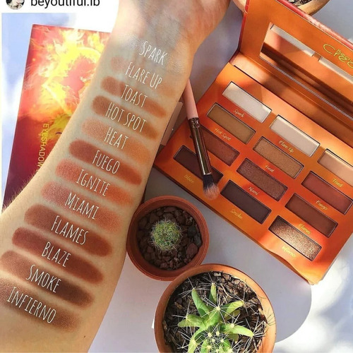 Imagen 7 de 7 de Paleta De Sombras Hot Fire Beauty Creations 12 Tonos