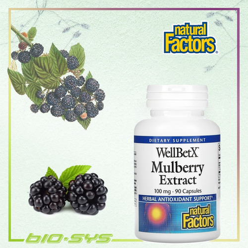 Imagem 3 de 4 de Wellbetx, Extrato De Amora, Importado, 100 Mg - 90 Cáps