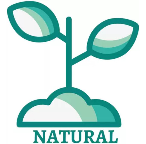 Shampoo E Sabonete Aloe Moringa Face E Corpo 120ml Livealoe
