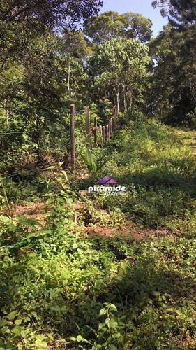 Imagem 13 de 13 de Terreno À Venda, 1500 M² Por R$ 350.000,00 - Centro - Santo Antônio Do Pinhal/sp - Te1378