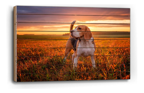 Cuadro De Madera Retrato De Perro Beagle 60x90cm