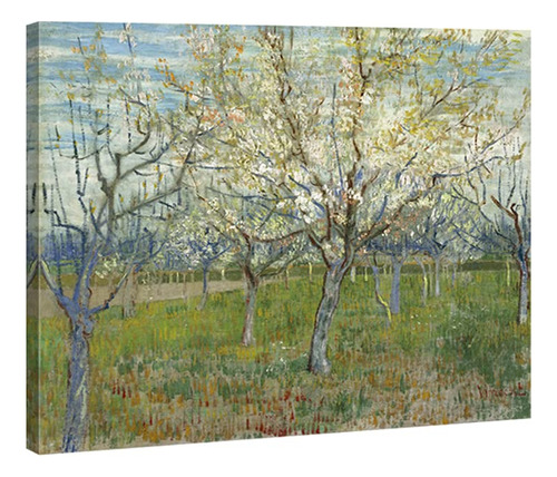 Wieco Art Huerto Con Arboles De Albaricoque En Flor Giclee,