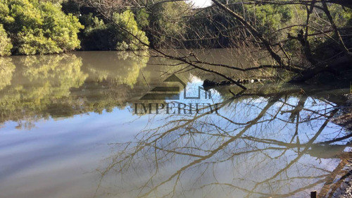 Venta, Campo 98 Hectáreas En Sierras De Carapé