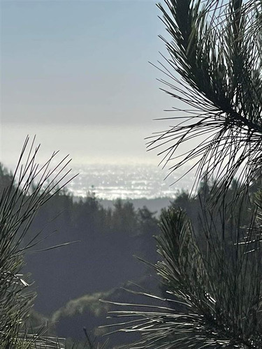 Parcelas Semiplanas A 8 Minutos De Las Playas En Pichilemu 