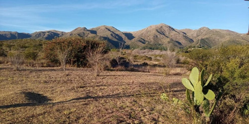 Imagen 20 de 30 de Casa Con Campo 7 Hectareas San Esteban Cordoba