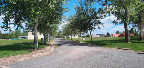 Venta Lote Terreno Área 60 Con Planos ..