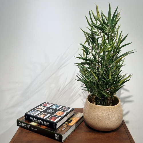 Muda Mini Bambu Artificial Premium Com Base 65cm