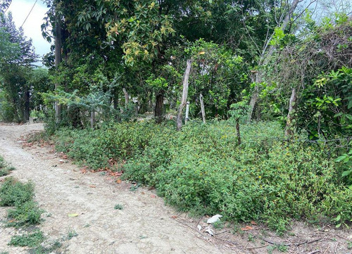 Terreno En Venta Col. El Zapote Huejutla De Reyes, Hgo.